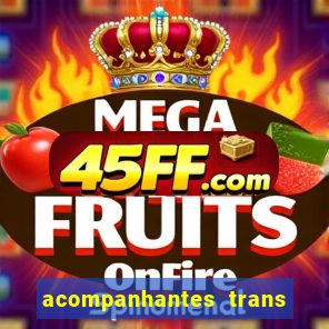 acompanhantes trans porto seguro